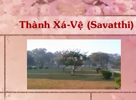 Theo dấu chân Phật 11 - Savatthi