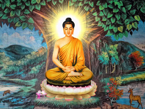 Phật học căn bản
